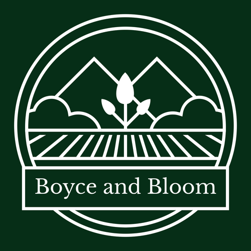 Boyce and Bloom